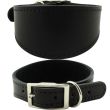 Suede Lined Whippet Leather Collar-Black(12-14'')