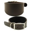 Suede Lined Whippet Leather Collar-Brown(10-12'')