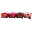 Wholesale 'Elegant Fashion Watches' Watch Box With Cushion- Assorted Colours 