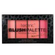 Technic Blush Palette Warm Edit 