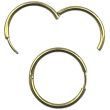 Gold Hoop Earrings with Hinged Closure - (24mm)