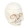 Weathered Skull Oil Burner and Wax Warmer
