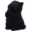 Whisker Wish Black Cat Figurine – (8.5cm)