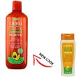 Wholesale Cantu Avocado Hydrating Shampoo 