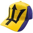 Wholesale Printed 6 Panel Baseball Cap - Barbados