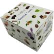 Wholesale Stamford Backflow Incense Cones - Sandalwood