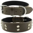 Wholesale Genuine Leather 1.5" Wide Studded Leather Stitched Dog Collar -Brown (20-23'' Fitting)