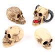 Skull World Figurines - Assorted 