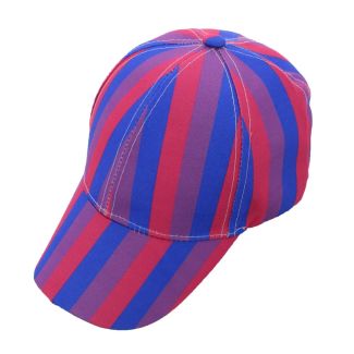 Adults 6 Panel Baseball Cap - Bisexual 