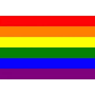 Rainbow Flag - 3ft x 2ft