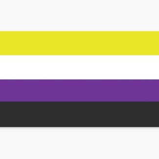 Wholesale Non-Binary Flag - 5ft x 3ft