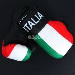 Mini Boxing Gloves - Italia