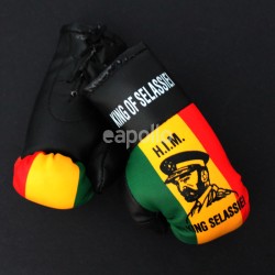 Mini Boxing Gloves - King Of Selassiei