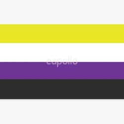 Wholesale Non-Binary Flag - 5ft x 3ft