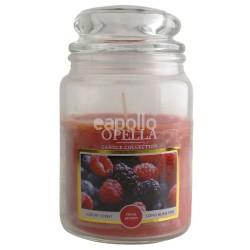 Wholesale Opella Jar Scented Candle - Fresh Berries