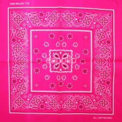 Paisley Bandana - Neon Pink