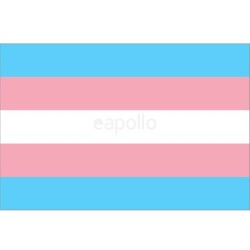 Wholesale Transgender Flag - 5ft x 3ft
