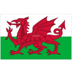 Wales Flag - 5ft x 3ft