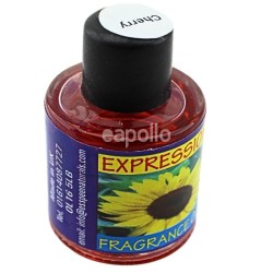 Wholesale Expression Fragrance Oils (Tray of 36) - Festive