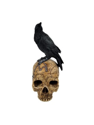 Wholesale Skull Box with Crow - Salems Familiar
