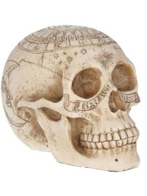 Astrological Skull 20cm