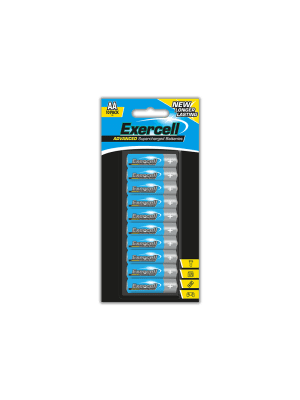 AA Extra Heavy Duty Batteries (pack of 10) 