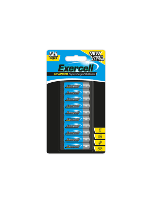 AAA Extra Heavy Duty Batteries (pack of 10) 