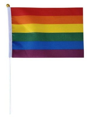 Rainbow Flag With Hand Stick - 12" x 8"