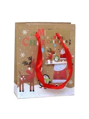 Santa and Rudolph Gift Bag With Tag - Small