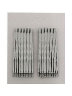 Card of 24 Silver Hair Grips 