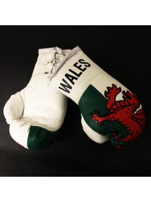 Mini Boxing Gloves - Wales