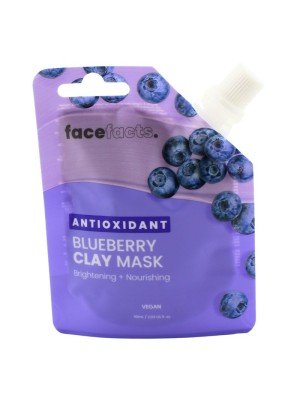 Wholesale Face Facts Antioxidant Clay Mask - 60ml