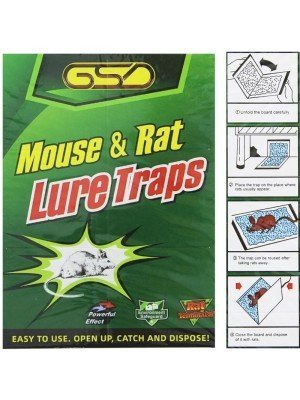 Wholesale GSD Mouse & Rat Lure Traps 