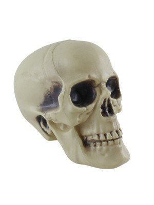 Wholesale Plastic Realistic Life Size Skull 