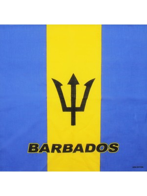 Barbados Flag Bandana