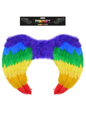 Feather Rainbow Wings