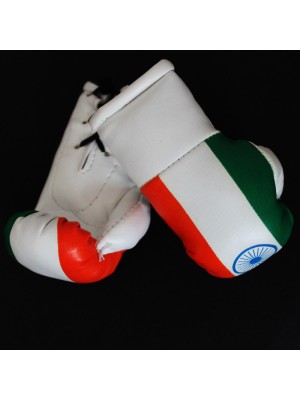 Mini Boxing Gloves - India