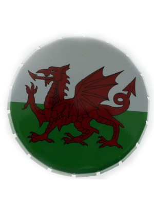 Welsh Styled Tins