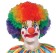 Coloured Clown Rainbow Wig 