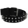 Leather 2 Row Spiked Belt Black (XL) Wholesale