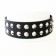 2 Row Conical Leather Choker