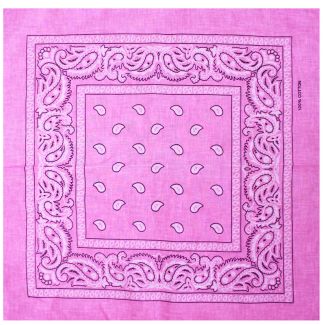 Paisley Bandanas - Pink