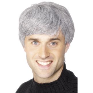 Short Corporate Wig - Grey