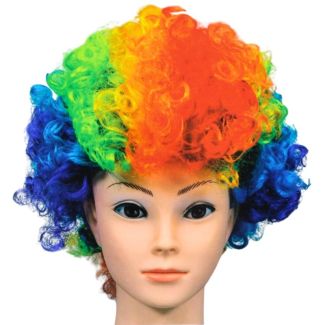 Afro Disco Clown Curly Unisex Wig - Rainbow
