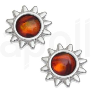 Amber Paua Shell Sun Stud Earrings