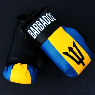 Mini Boxing Gloves - Barbados