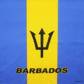 Barbados Flag Bandana
