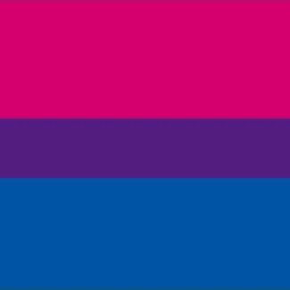 Wholesale Bisexual Flag Bandana 