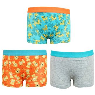 Boys Safari Print Trunks (3 Pack) - Assorted