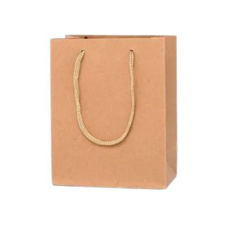 Brown Kraft Paper Gift Bag - 20x15x6cm